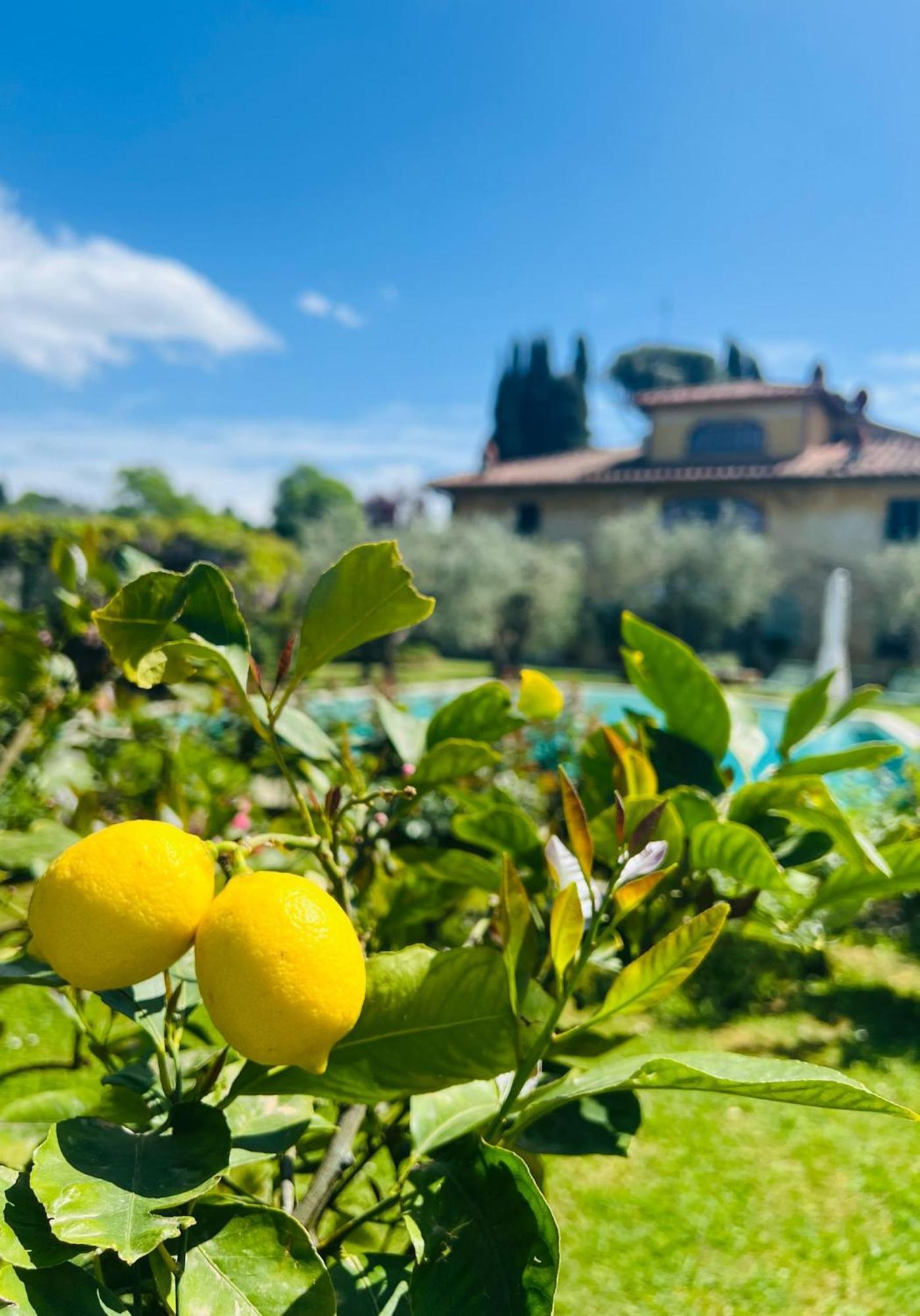 Villa Giotto Florence Pozzolatico Εξωτερικό φωτογραφία
